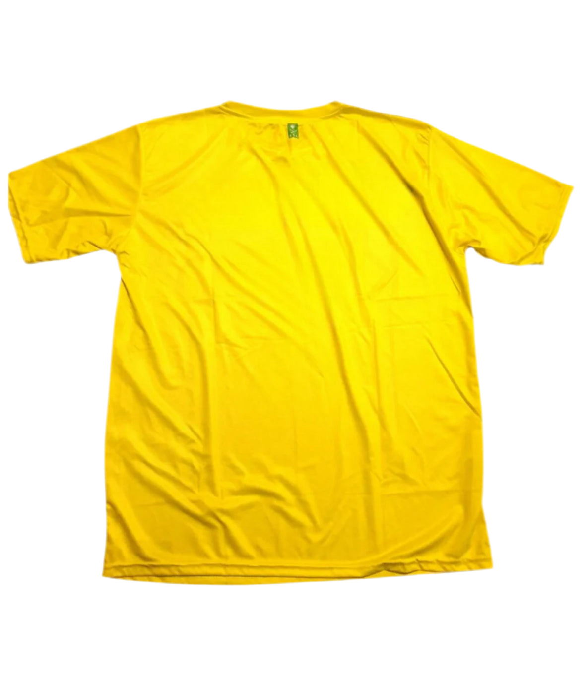 AL-NASSR 2023/24 JERSEY HOME