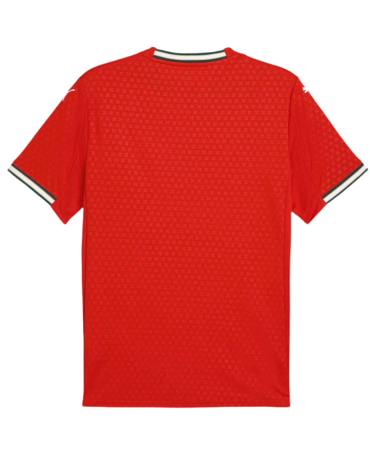 PORTUGAL 2024/25 JERSEY HOME