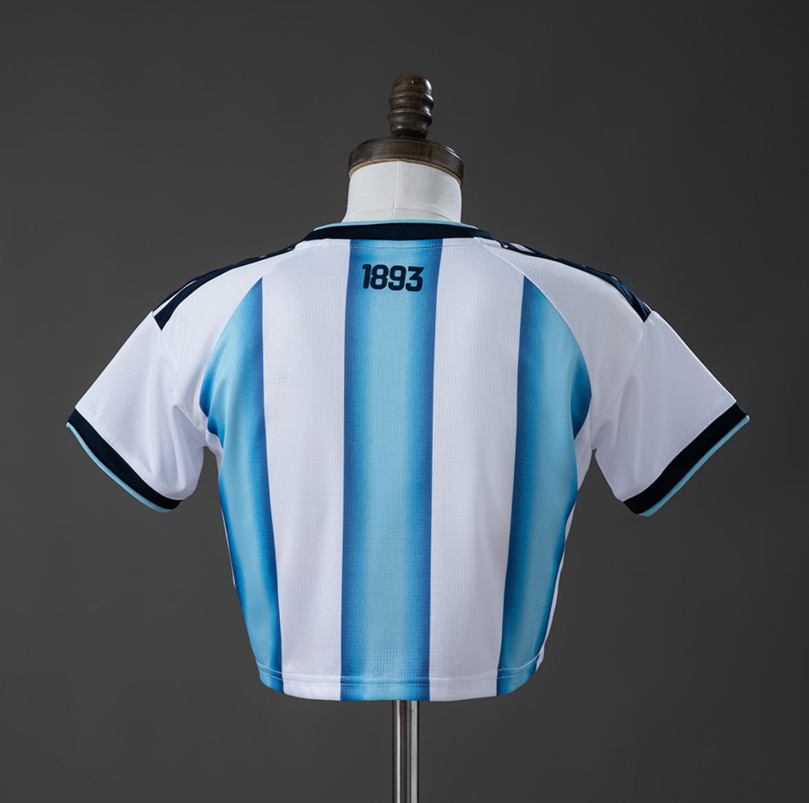 ARGENTINA 2026 HOME WOMENS CROP TOP